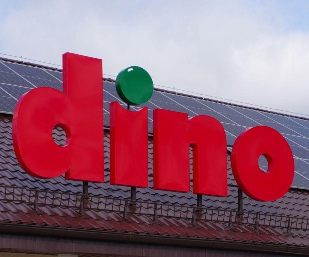 Logo sieci sklepów DINO