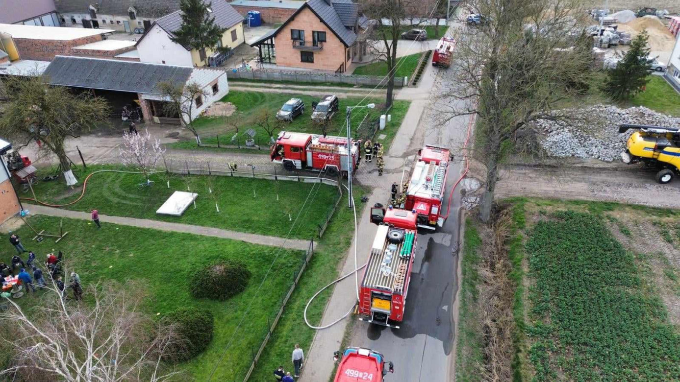 Tragiczny pożar niedaleko Krotoszyna. Spłonęło trzysta królików 