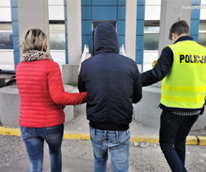 Śląskie: Zawodowi złodzieje drogich samochodów. Mają nawet specjalizację