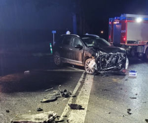  3-letniej dziewczynce pękła czaszka. Tragedia w Ucieszkowie [ZDJĘCIA]