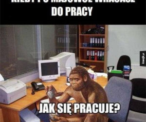 Majwówka 2020 memy