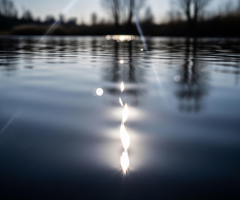 Na pierwszym planie widoczna jest powierzchnia wody, częściowo rozmyta, z wyraźnymi, jasnymi refleksami światła, układającymi się w pionową smugę na środku kadru. Woda ma ciemnoniebieski kolor, przechodzący w jaśniejsze odcienie szarości przy horyzoncie, gdzie odbijają się zarysy drzew i krzewów. Horyzont jest rozmyty, prezentując sylwetki nagich drzew i innych roślinności na tle jasnego, nieco zamglonego nieba.