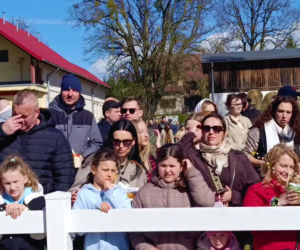 Konna święconka w Szczecinie