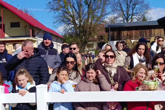 Konna święconka w Szczecinie