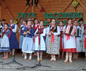 Zwyk bacowski w Soblówce