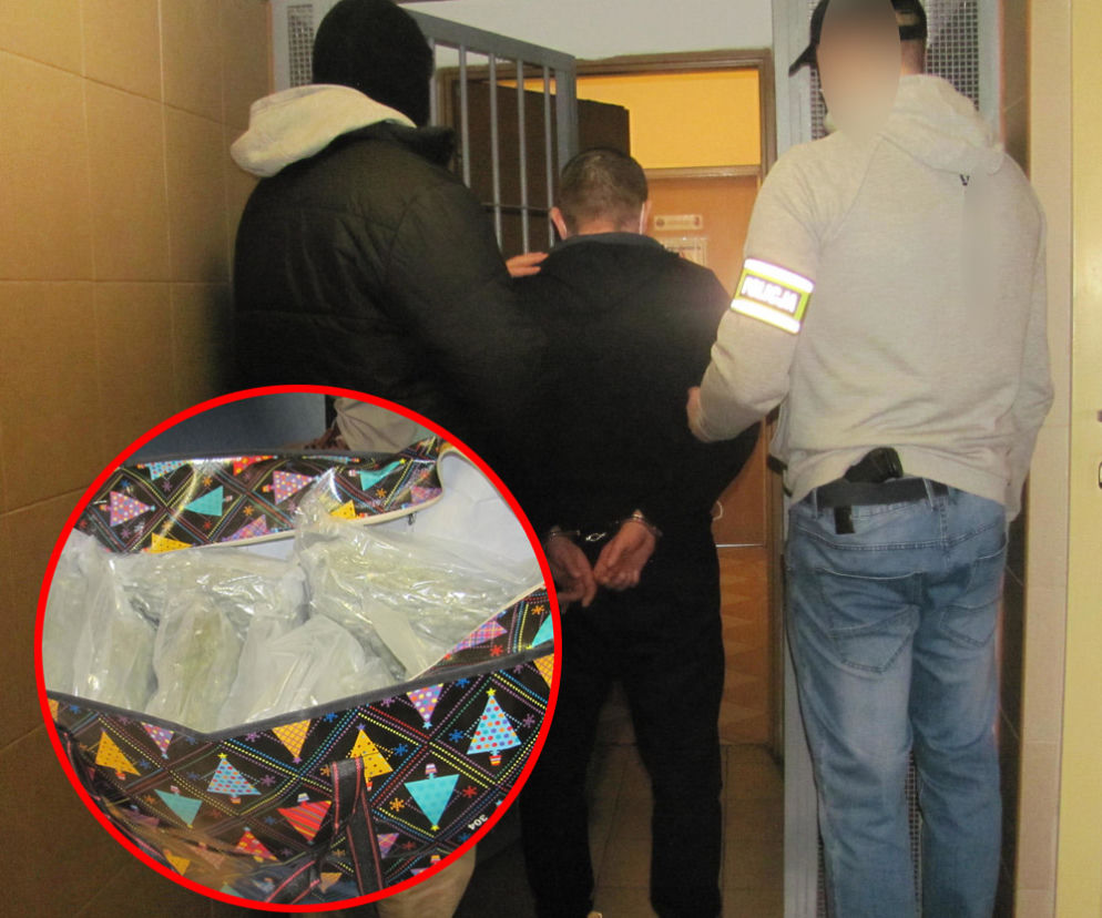 Jechał i pachniał marihuaną. W bagażniku miał jej 115 kilogramów