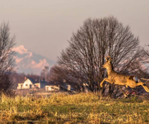 To nie fotomontaż! To Tatry widziane z Podkarpacia!