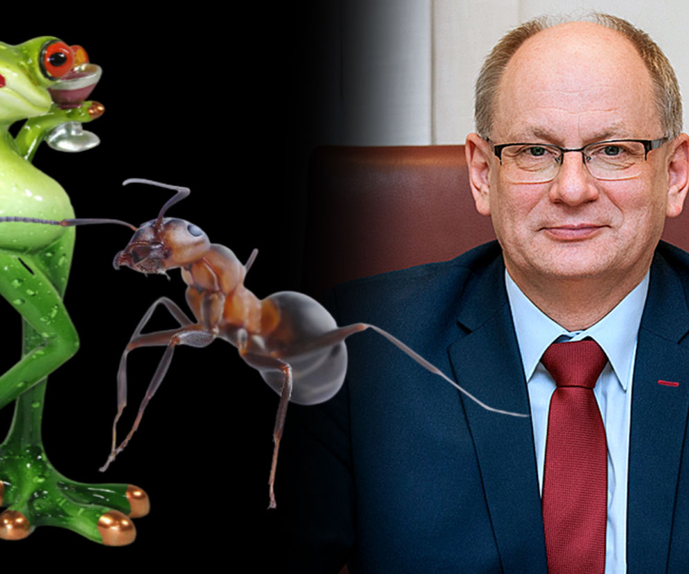 NIE CHCEMY MRÓWEK I ŻAB