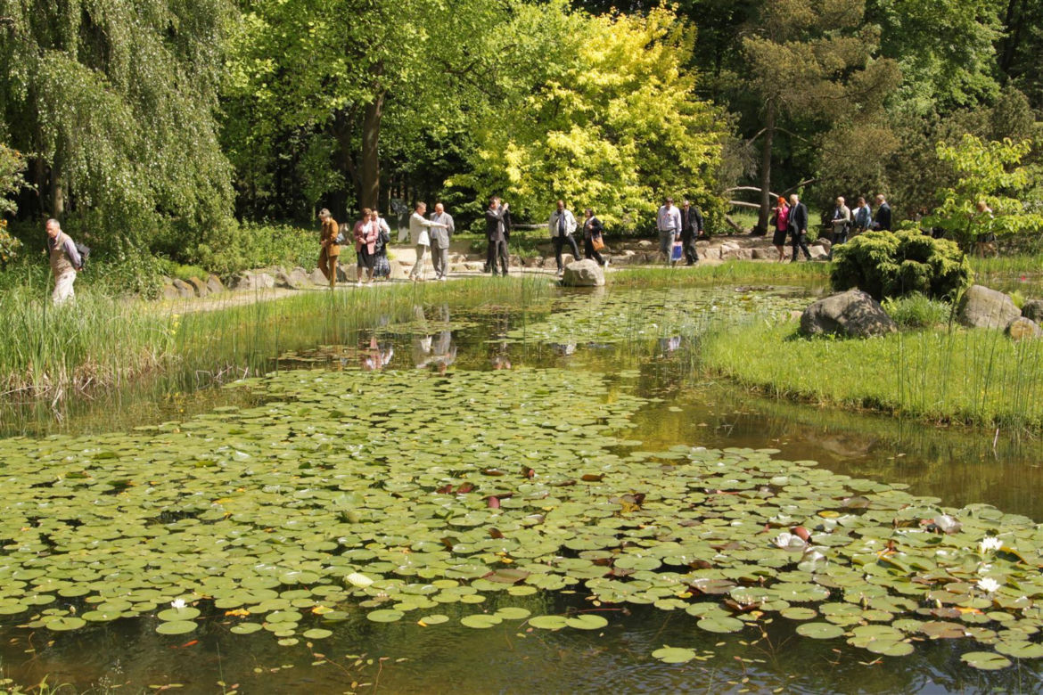 Arboretum w Rogowie