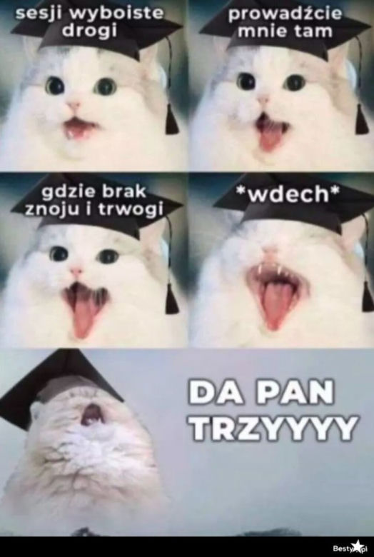 Tak studenci walczą o zaliczenie! Zobacz najlepsze MEMY o sesji!