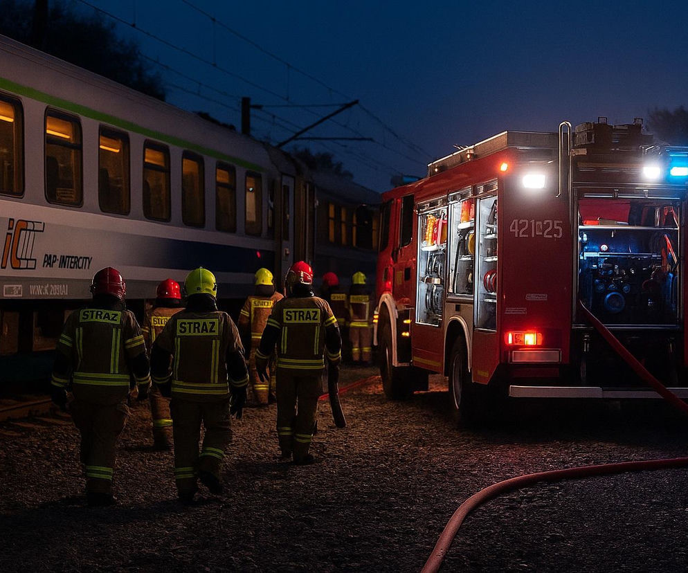 Pociąg PKP Intercity wjechał w stado krów. Jedno zwierzę nie przeżyło
