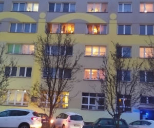 Makabryczne odkrycie w Siedlcach. Trzy ciała znalezione w mieszkaniu