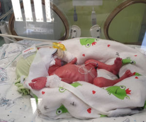 Pomóżcie! Żeby były zdrowe POTRZEBUJĄ AUTA