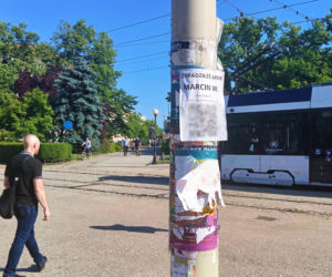Tajemnicze plakaty na przystankach w Szczecinie