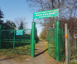 Ogródki działkowe w czasie pandemii