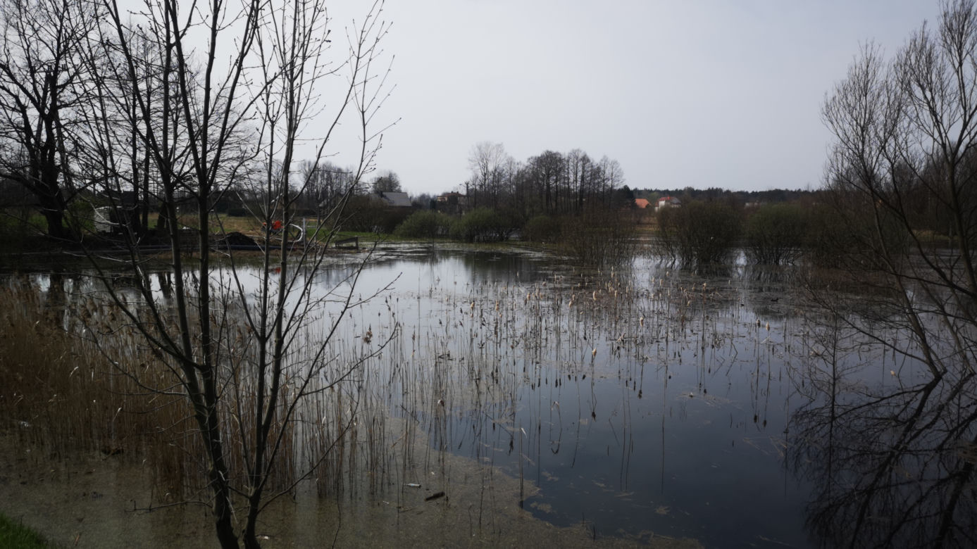 Szkody górnicze w Imielinie zagrażają mieszkańcom! Tuż przy drodze wojewódzkiej powstało zalewisko
