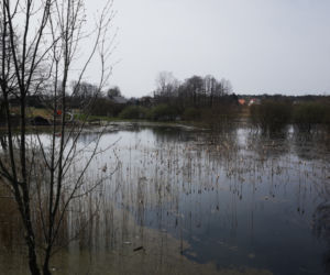 Szkody górnicze w Imielinie zagrażają mieszkańcom! Tuż przy drodze wojewódzkiej powstało zalewisko