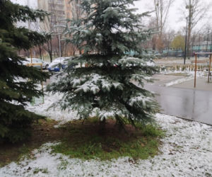 Pierwszy śnieg w Radomiu! Zobacz, jak rano wyglądało miasto