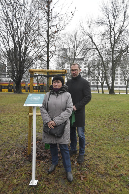 Powstańcy zapuścili korzenie. 20 drzew dla bohaterów w parku na Woli