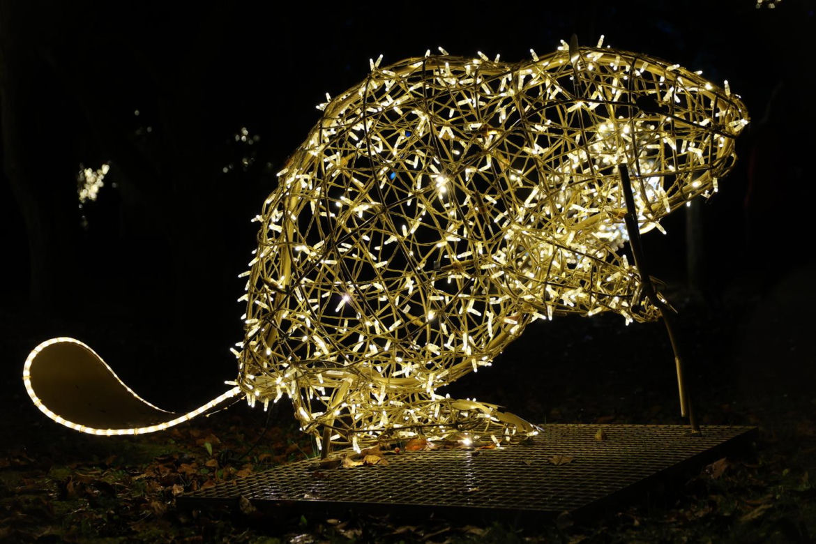 Park iluminacji 2023 w Lublinie