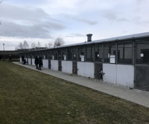 Dzień otwarty w lubelskim schronisku