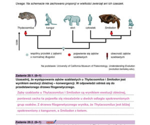 Matura 2026 biologia ROZSZERZONA: WSZYSTKIE odpowiedzi do arkusza CKE 8.05.2026
