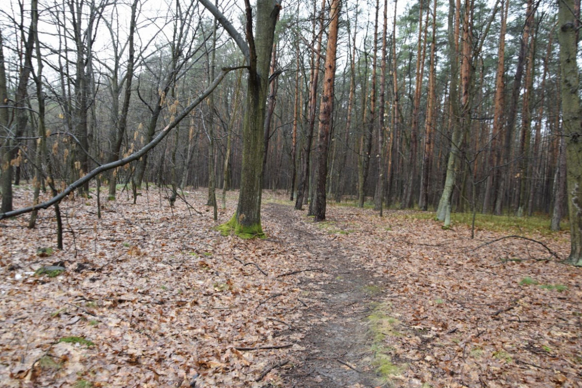 Dąbrówki. Nie żyje 17-letnia Paulina. Przeszliśmy drogę z miejsca imprezy do stawu, z którego wyłowiono ciało [ZDJĘCIA]
