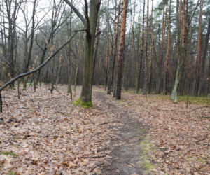 Dąbrówki. Nie żyje 17-letnia Paulina. Przeszliśmy drogę z miejsca imprezy do stawu, z którego wyłowiono ciało [ZDJĘCIA]