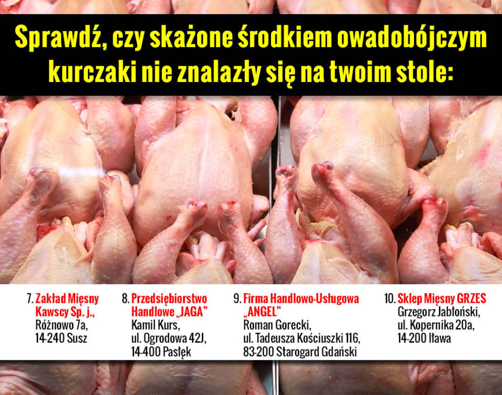 Galeria Skażone kurczaki adresy 3