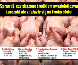 Galeria Skażone kurczaki adresy 3