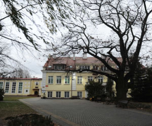 To Laura rzuciła się z wiaduktu pod tira. Co pchnęło 14-latkę do skoku po śmierć?