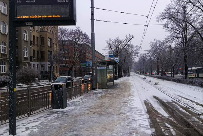 Atak zimy w Szczecinie