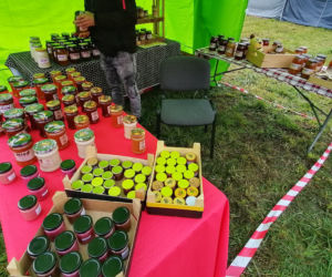 Pomarańczowi rowerzyści najechali zamek w Szymbarku