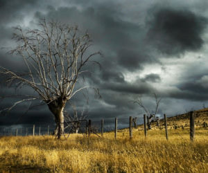 Portugalia – orkan Emilia paraliżuje loty na Maderę. Co z połączeniami z Polską?