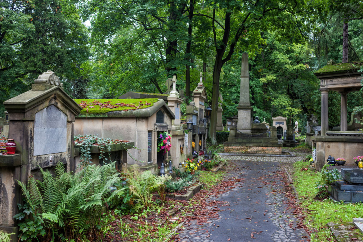 Cmentarz Rakowicki, Kraków