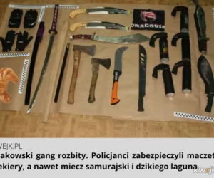 Krakowski lagun to prawdziwy FENOMEN! [MEMY]
