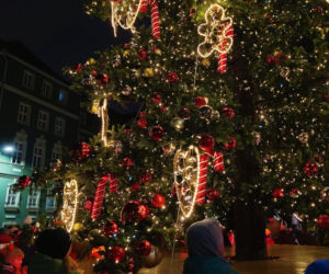 Choinka przed urzędem miasta w Szczecinie