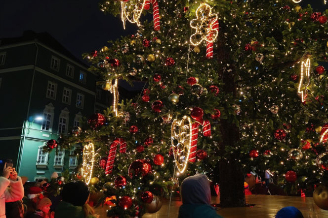 Choinka przed urzędem miasta w Szczecinie
