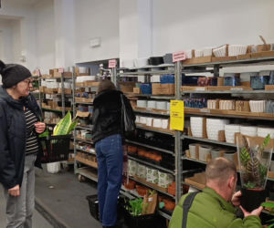 Festiwal Roślin w Enea Arenie