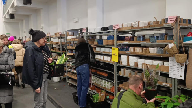 Festiwal Roślin w Enea Arenie