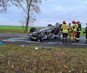 Sportowy Peugeot 308 GTi roztrzaskany na drzewie