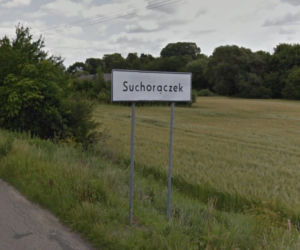 Suchorączek