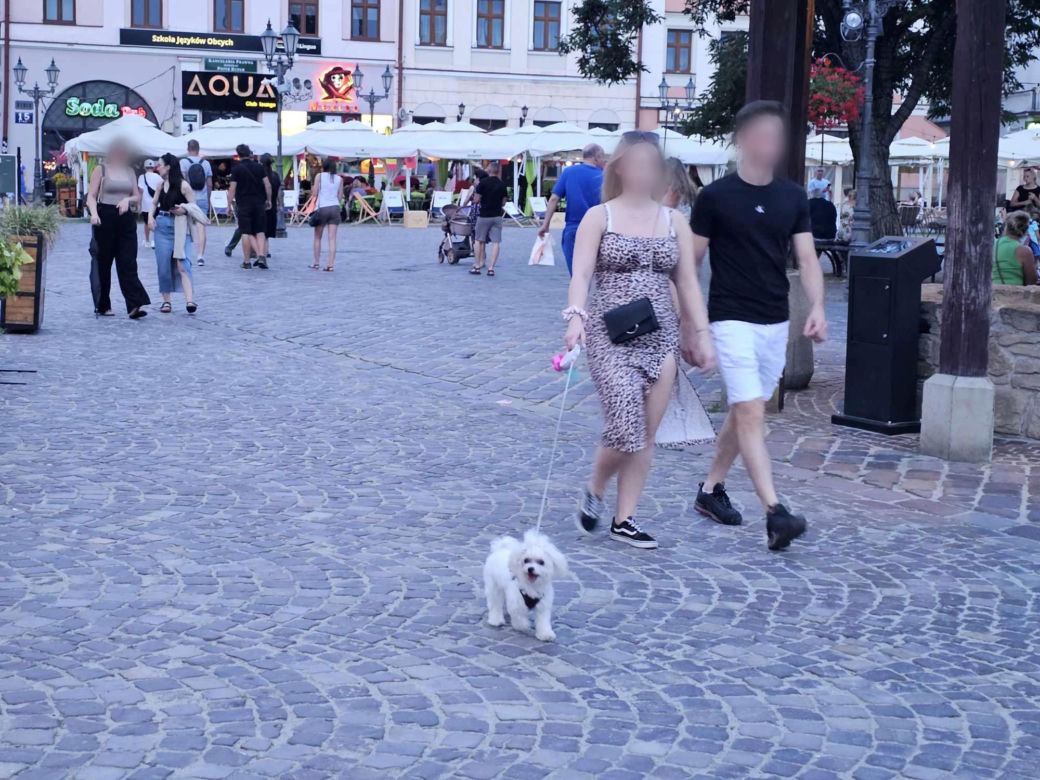 Jak spędzić wakacyjne popołudnie na rzeszowskim rynku