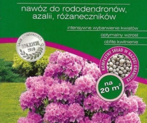 Nawozy do rododendronów