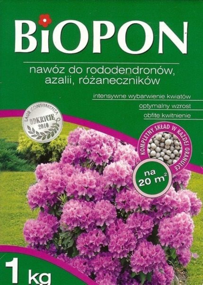 Nawozy do rododendronów