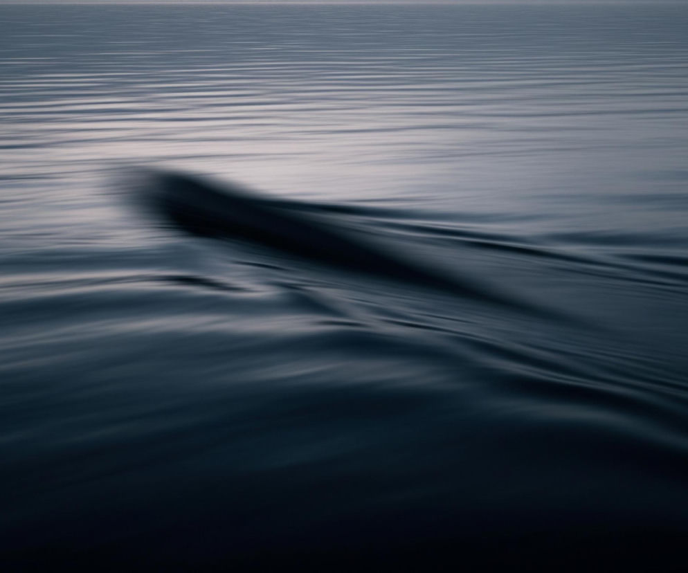 Powierzchnia wody, o zabarwieniu od szarego błękitu do głębokiego granatu, dominuje cały kadr. Na górze widać drobne, poziome fale i jasne refleksy światła, natomiast w dolnej części obrazu woda jest ciemniejsza i bardziej jednolita. Centralnie, z lewej strony, wyłania się podłużny, ciemny kształt, który wydaje się poruszać pod powierzchnią, tworząc za sobą wyraźne fałdy i zmarszczki na wodzie, rozciągające się w prawą stronę. Kształt ten jest rozmazany, co sugeruje ruch lub szybkie przemieszczanie się.
