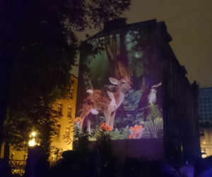 19 W Łodzi trwa Festiwal Światła. ZOBACZ, jak zmienił łódzką przestrzeń