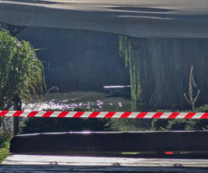 6-latek utonął w stawie podczas imprezy urodzinowej