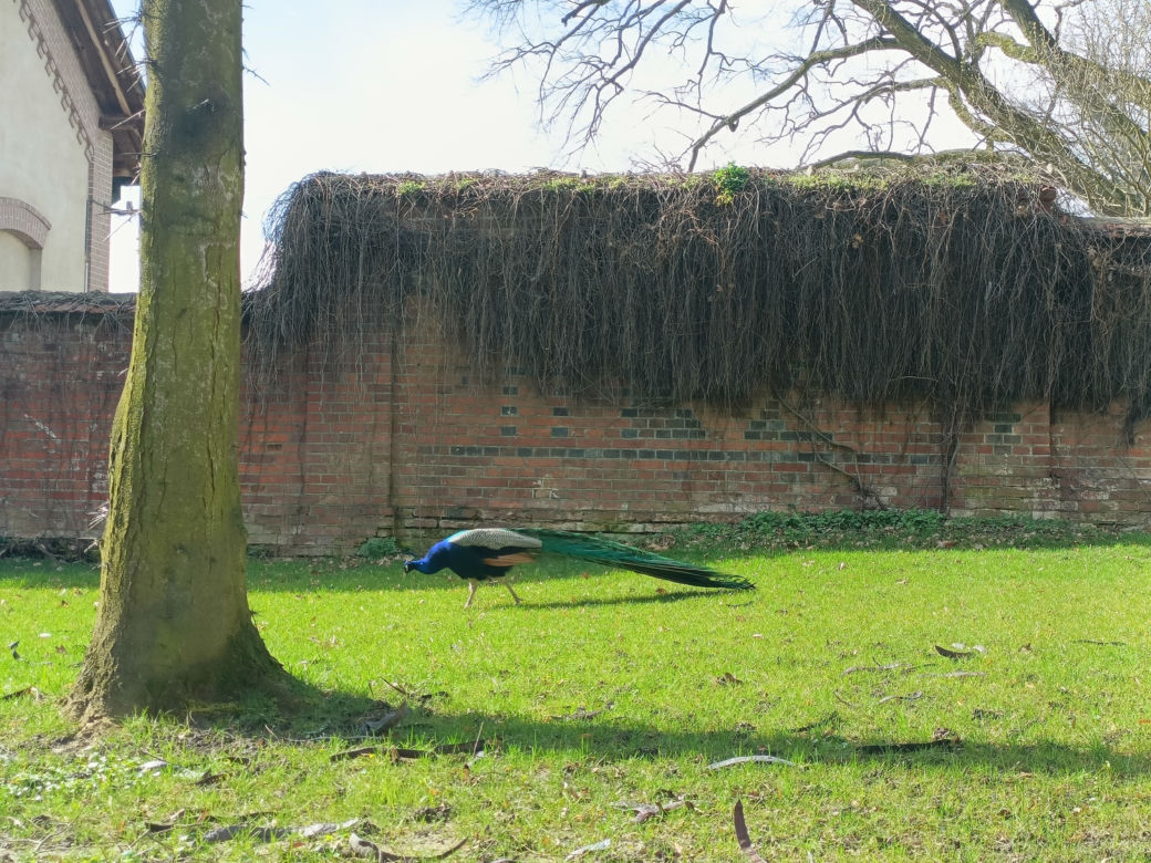 Muzeum Zamoyskich w Kozłówce wczesną wiosną