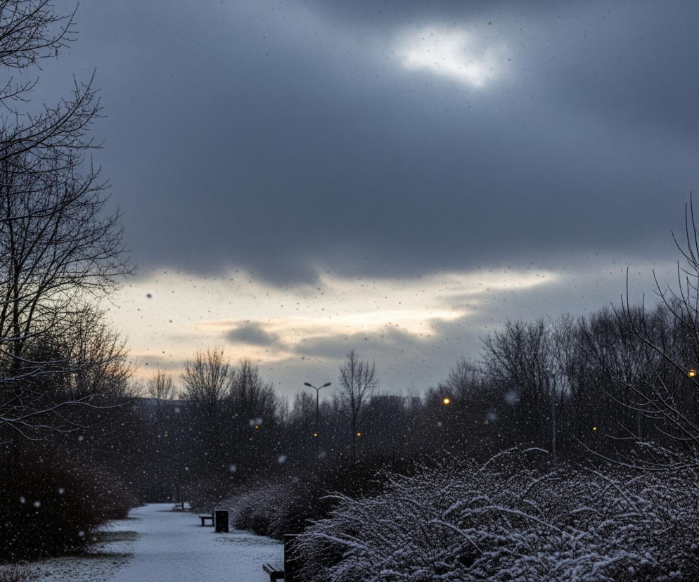 Krajobraz zimowy przedstawia zaśnieżoną alejkę wijącą się przez park, otoczoną drzewami i krzewami. Wzdłuż alei, po lewej stronie, rozciąga się pasmo gołych drzew z ciemnymi gałęziami pokrytymi lekkim puchem śniegu. Po prawej stronie, niżej, znajdują się gęste krzewy, również obficie przysypane białym śniegiem, tworząc faliste kształty.

Nad parkiem rozpościera się zachmurzone niebo w odcieniach szarości i błękitu, z jaśniejszymi fragmentami u dołu, gdzie słońce przebija się przez chmury, rzucając delikatne, pomarańczowe światło. W powietrzu unoszą się liczne płatki śniegu, nadające scenie dynamiki. Na horyzoncie widoczne są pojedyncze, świecące, pomarańczowe latarnie uliczne, dodające ciepłego akcentu do zimowego krajobrazu.